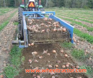 Sweet Potato Harvester