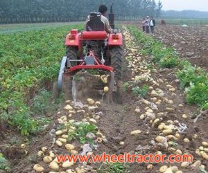 Potato Harvesting Machine