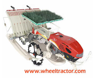 Paddy Transplanting Machine