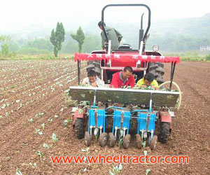 Vegetable Transplanter