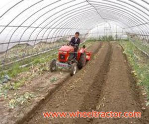 Greenhouse King Mini Tractor