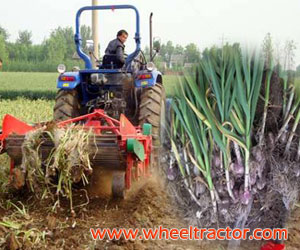 Garlic Harvester