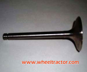 Intake valve Lijia SL2105